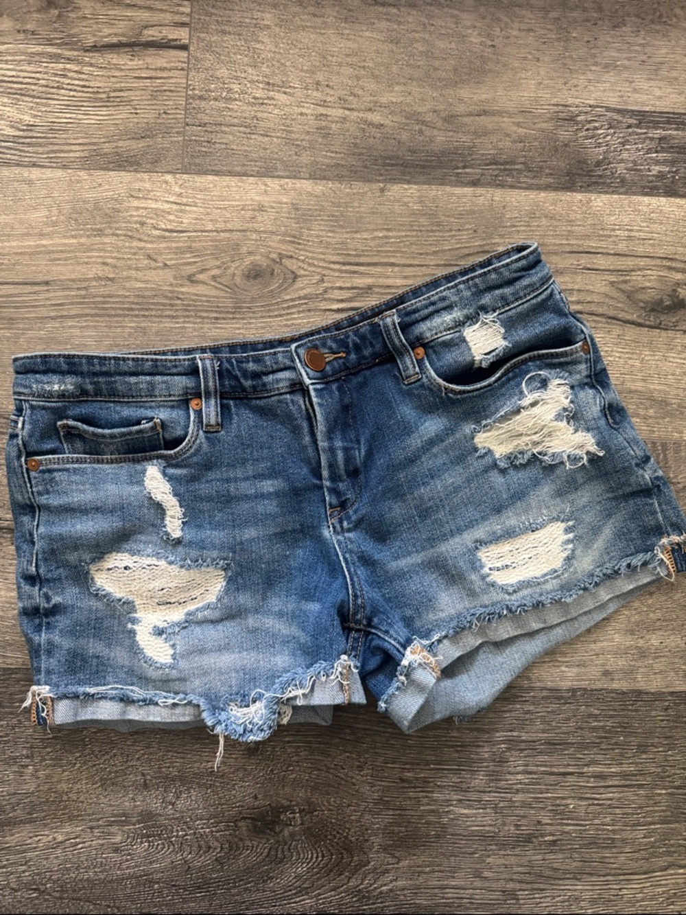 Blank NYC Tomboy Distressed Jean Denim Shorts  Size 28